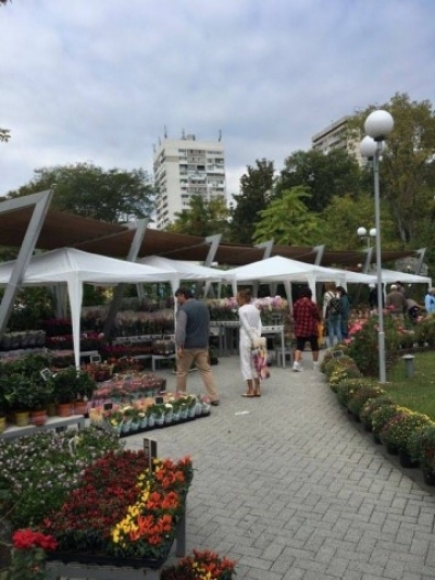 Посетете цветния базар "Флора Есен"