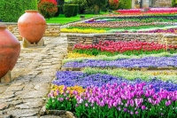 Университетската градина в Балчик дарява на 65-ия си рожден ден на всеки посетител цвете 