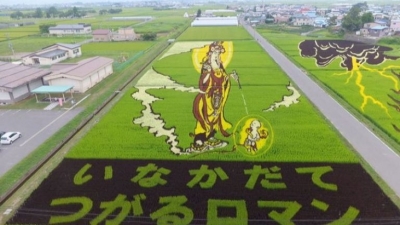 Японци рисуват с посеви в оризовите полета