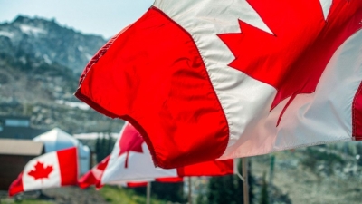 Канада търси 1 милион имигранти