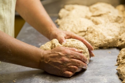 Хлябът поскъпва, може да се наложи внос на зърно