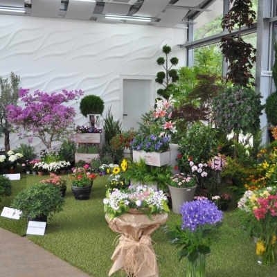 Цветен базар „Флора Есен“ ще се проведе на 20 - 24 септември