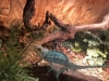 Най-дружелюбният хамелеон Ранго в цвят тюркоазено синъо ви очаква в „Морското казино“