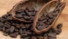 Какаото подобрява дейността на мозъка