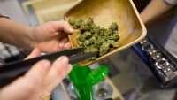 Германия легализира марихуаната с рецепта