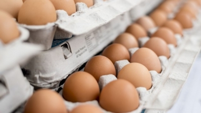 България не е засегната от кризата със заразените яйца
