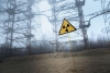 Гъби от Чернобил превръщат радиацията в енергия