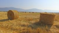 2 000 земеделци от Бургаска област не са декларирали дохода си от субсидии