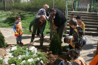 Деца и служители на парк „Странджа” засадиха брези, чинари и туи 