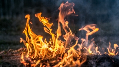 Пожарът край бургаското село Граничар е овладян