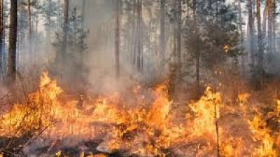 Екстремален индекс за опасност от пожари в 9 области в неделя 