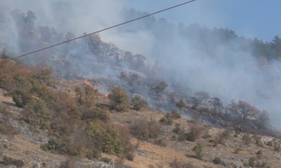 Потушен е пожарът в Сливенско, има задържан за възникването му