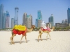Данъчен рай за бизнеса в ОАЕ