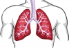 Ноември - месец на борба с рака на белите дробове