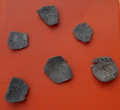 70 старинни монети откриха в Акве Калиде 