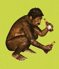 Британски учени: Алкохолът помогнал на маймуната да стане човек