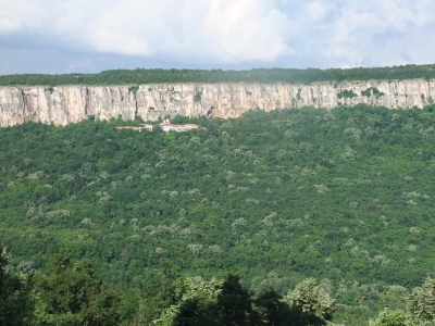 Вековните букови гори на България вече са част от наследството на ЮНЕСКО