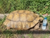 Зоопарк Бургас се похвали с нови екзотични обитатели