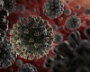 Учени откриха уязвимото място на коронавируса.  