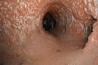 Гигантски ленивец е копал тунели преди хиляди години